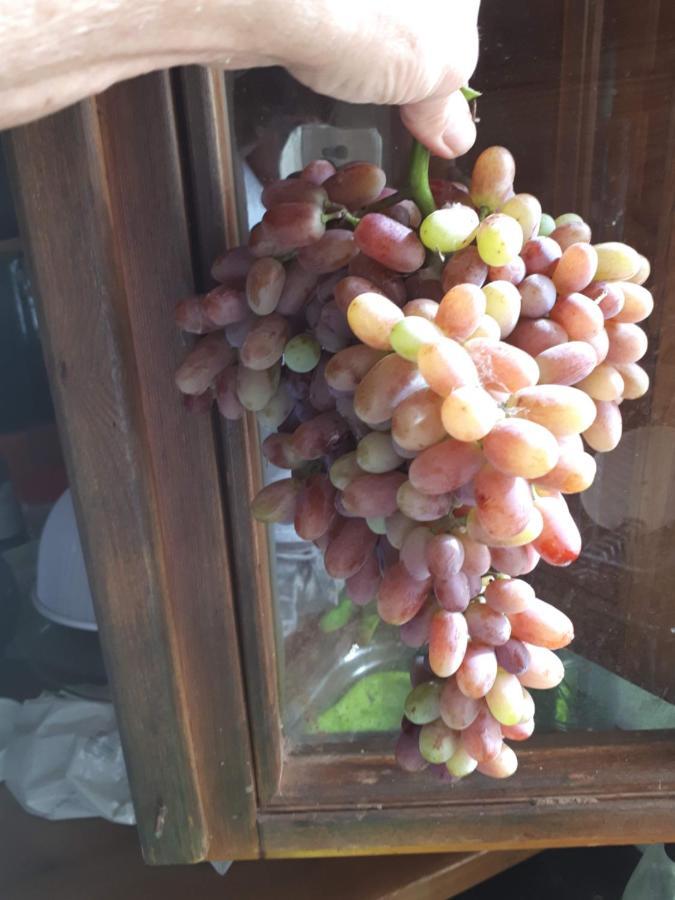Casa De Bello 托尔托萨 外观 照片